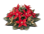 Portacandela Rosso Natale