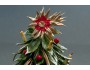 Nordic Christmas Fir