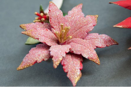 Polimniae 2 - Christmas Shiny Stars